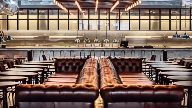 Honorato – Saldanha - 3