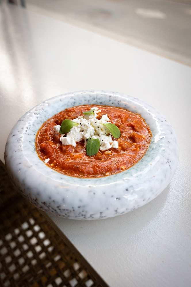 Laberinto Gastrotails - 2