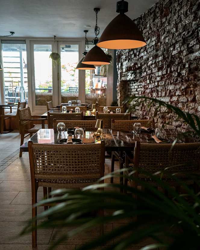 Laberinto Gastrotails - 3