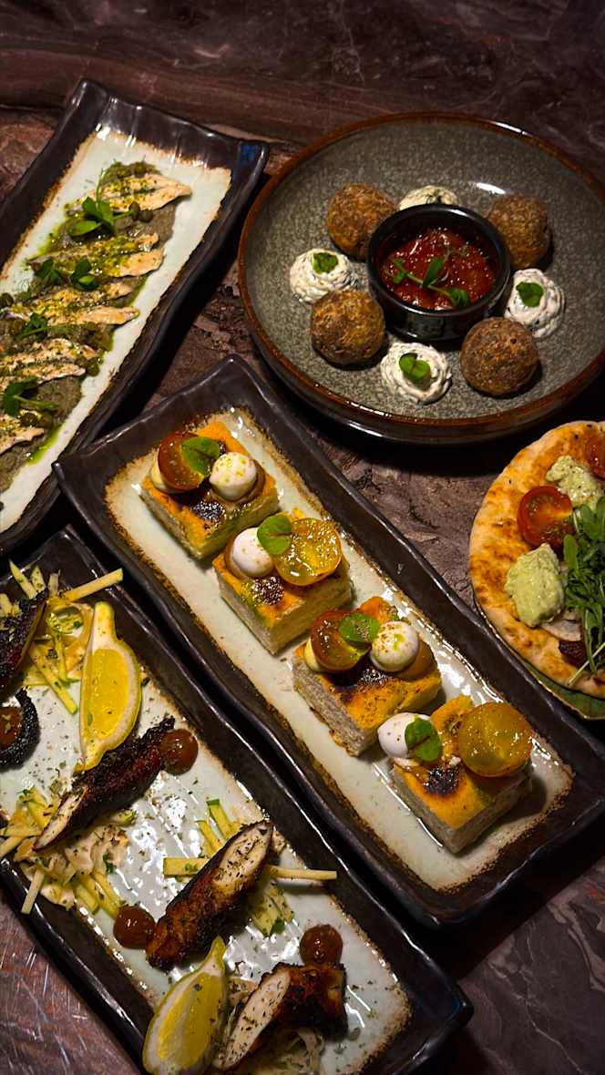 Laberinto Gastrotails - 2