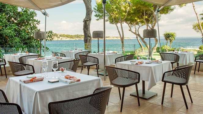 Arrels by Marga Coll - Hotel de Mar - 8