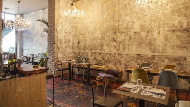 Monkey in The City - 8