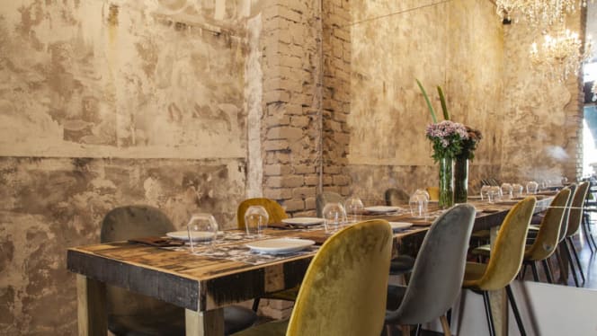 Monkey in The City - 9