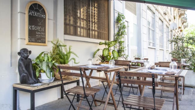 Monkey in The City - 1