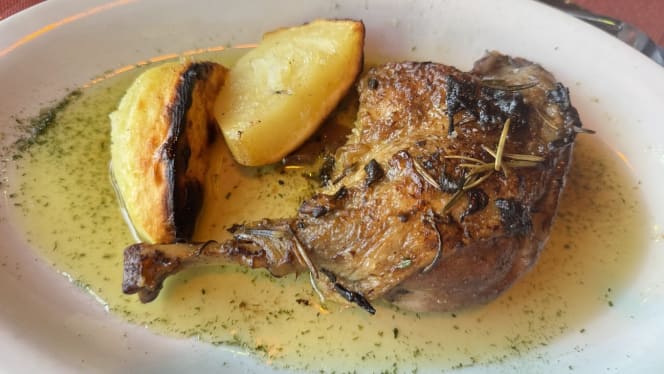 Gallo Matto - Roma - 2