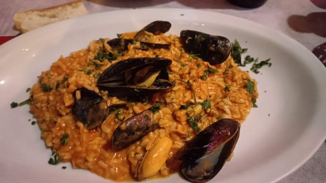 Gallo Matto - Roma - 9