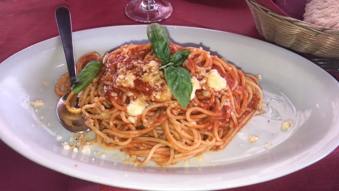 Gallo Matto - Roma - 1