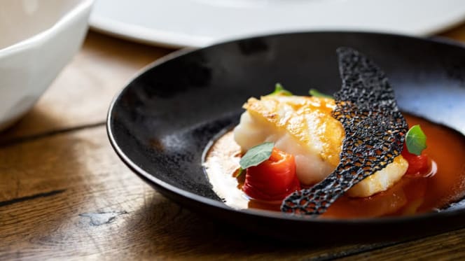 1515 RHINOCERVS - Nurnberg - 0