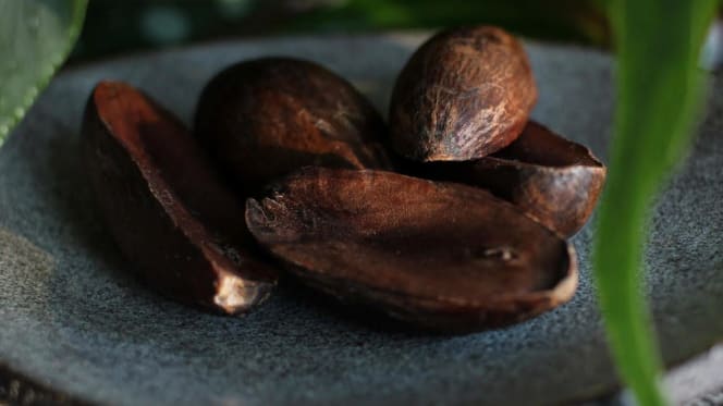 1515 RHINOCERVS - Nurnberg - 7