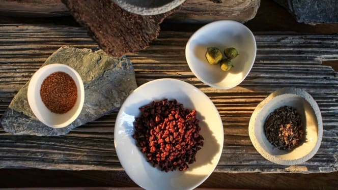 1515 RHINOCERVS - Nurnberg - 2