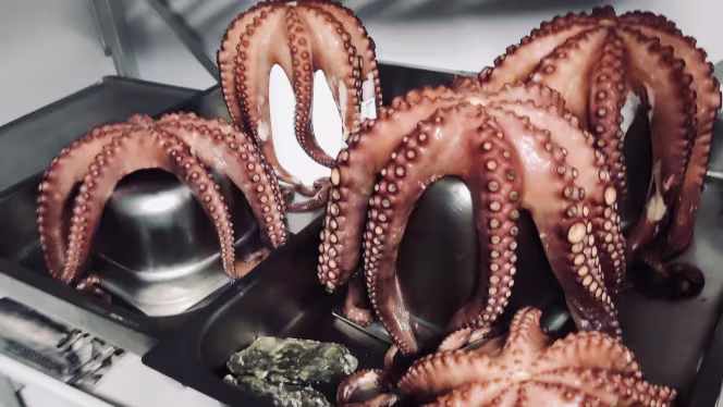 Osteria di mare Il Faro - 5