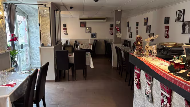 Le Cèdre du Liban - 5