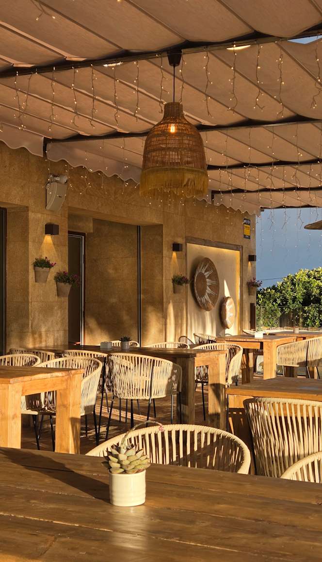 Palito by Temblor - 7