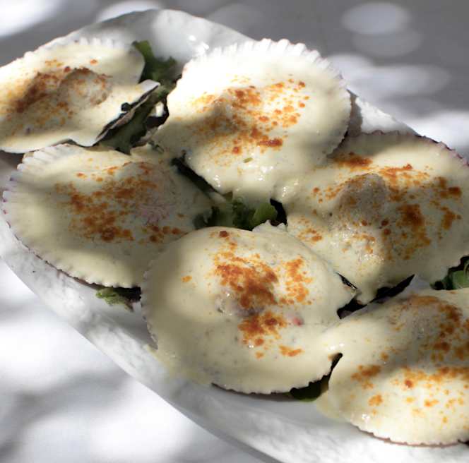 Cevitxef Barcelona - 0