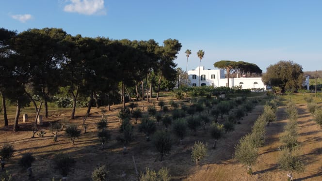 Filippo de Raho - Il ristorantino - 7