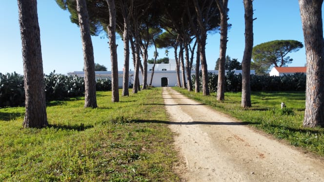 Filippo de Raho - Il ristorantino - 6