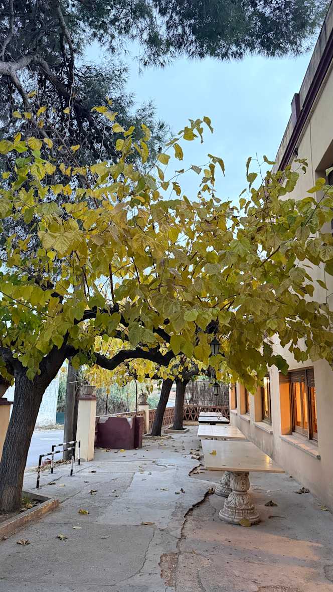 Restaurant Masia La Figuera - 4