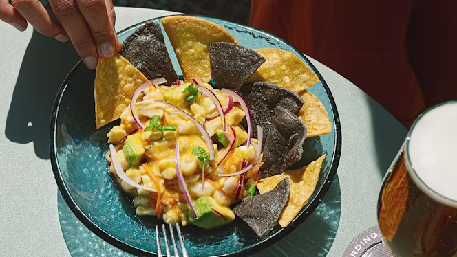 Rooftop El Vicenç - Only Adults +12 - 7