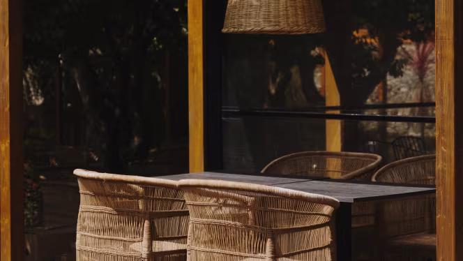 Jangal Gastrobar - 6