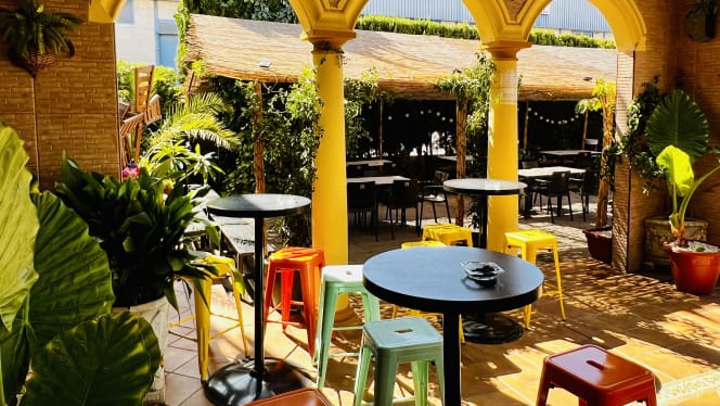 Hangar Costa Vintage - 1