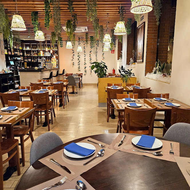 Indigo Olot - 7
