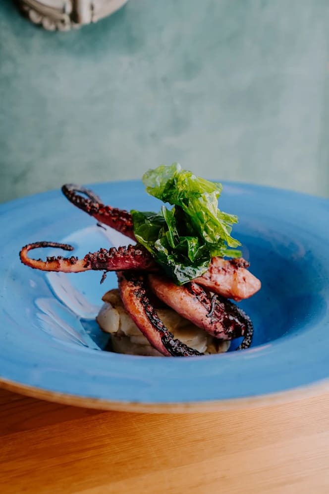 Radical Fish da Mastrilli - 6