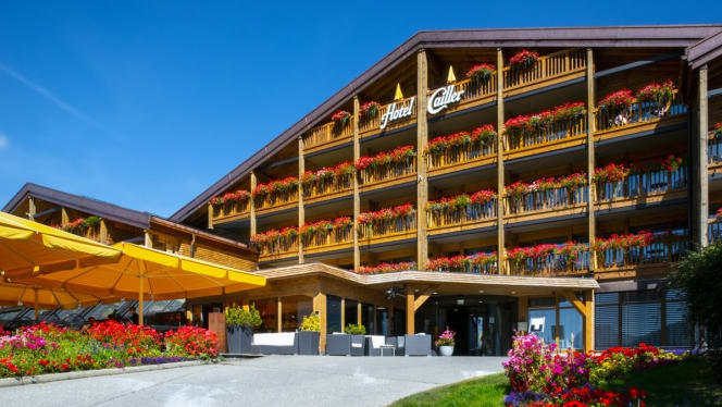 Le Bistro Hôtel Cailler - 4