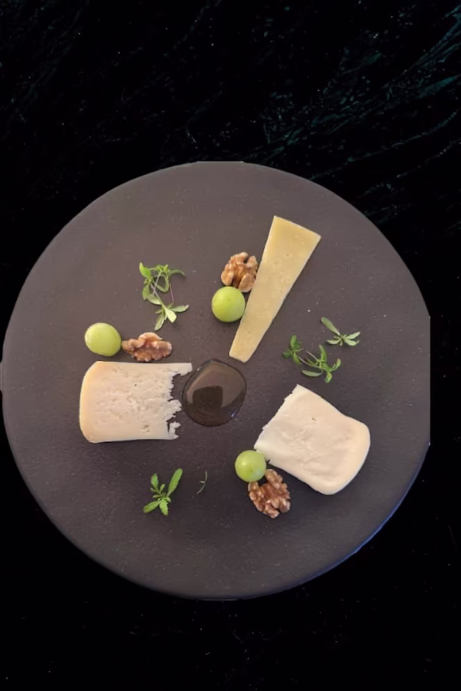 O Ninho - Coimbra - 1