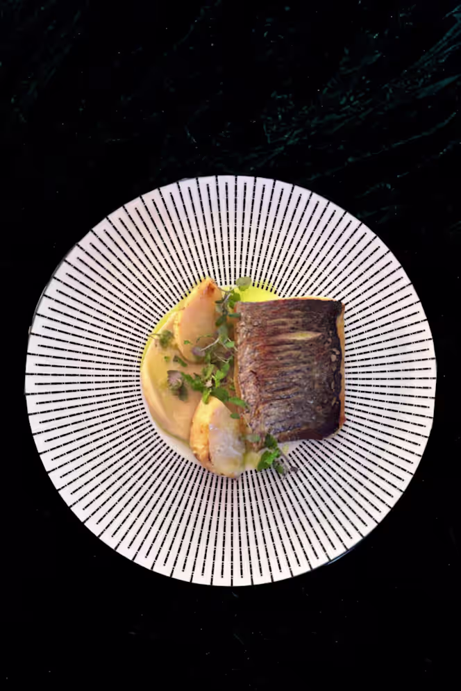 O Ninho - Coimbra - 8