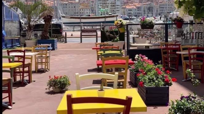 Yasmine Vieux Port - 3