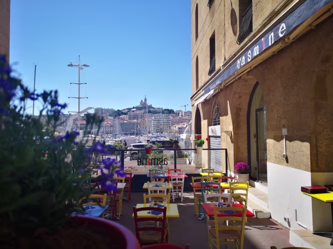 Yasmine Vieux Port - 7