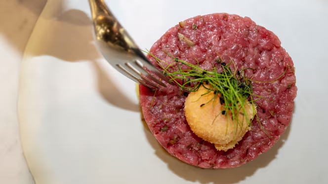 Tyke - Lounge Bar - Messina - 5