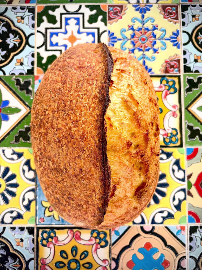 Fattoria di nonna patty - 4