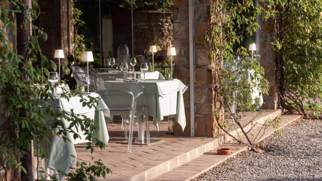 Rosso Corbezzolo - Scarlino - 5