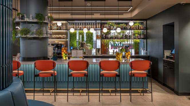 Flamel Mixology Bar - 0