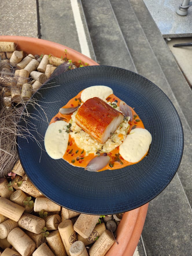 Boléro Bistrot Festif - 2