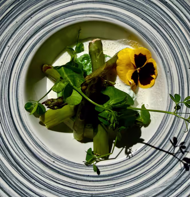 Le jardin des bains - 2