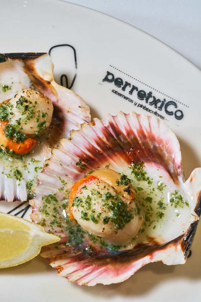 Perretxico Logroño - 2