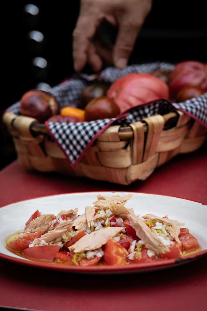 Perretxico Logroño - 4