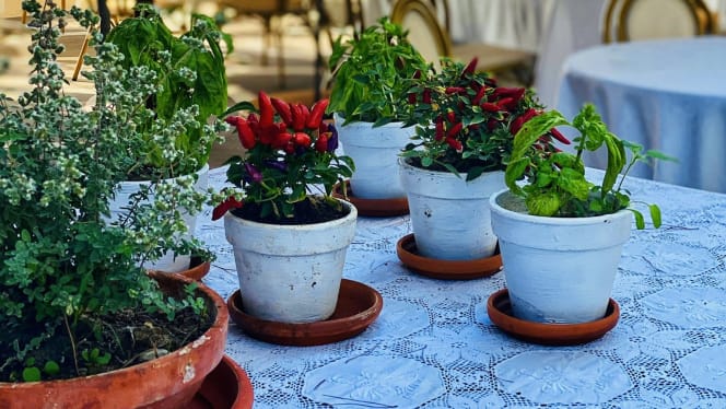 Da Emilia alla Curtiglia - 4