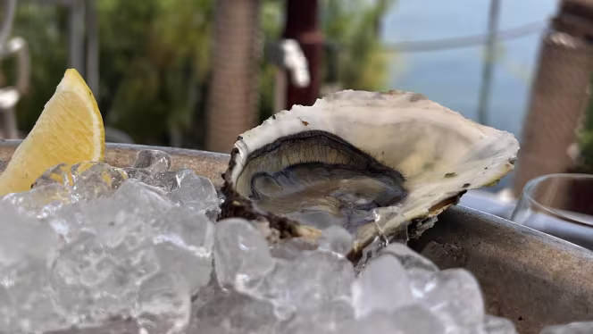 Le Petit Bistrot - 3