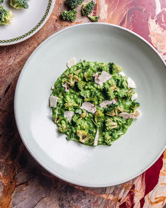 Abstinence - Paris - 2