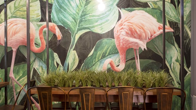 Kytos Ponte Milvio - 2