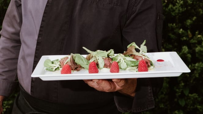 Orso Grigio - Ronzone - 1