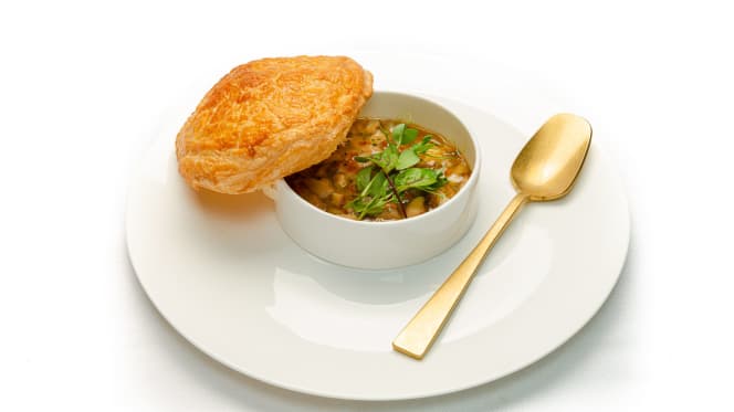 Orso Grigio - Ronzone - 2