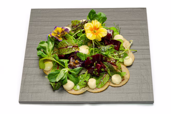 Orso Grigio - Ronzone - 4