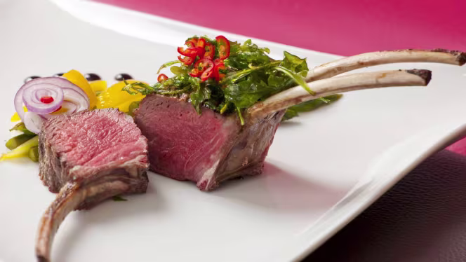 DAVID Lounge Bar Garten - 7