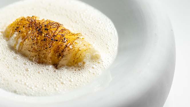 Segno by Empireo - 3