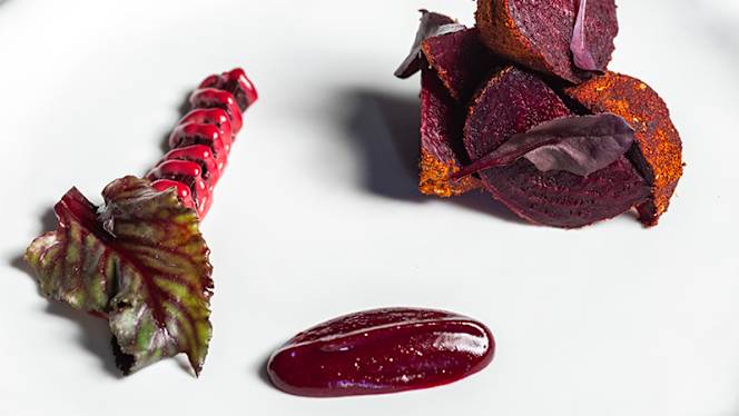 Segno by Empireo - 1