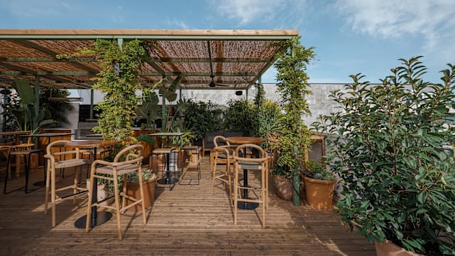 La Terraza del Pulitzer - 5